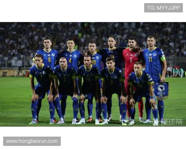 波黑足协宣布对阵意大利附加赛门票售罄